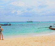 Bamboo island